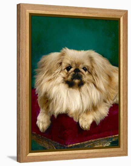 Tul-Ching of Alderbourne-null-Framed Premier Image Canvas