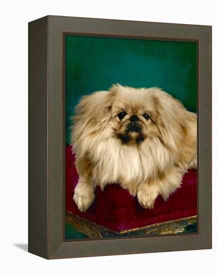 Tul-Ching of Alderbourne-null-Framed Premier Image Canvas