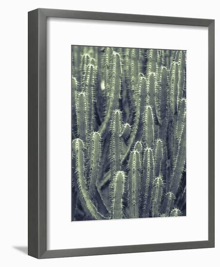 Tule-Ella Lancaster-Framed Giclee Print