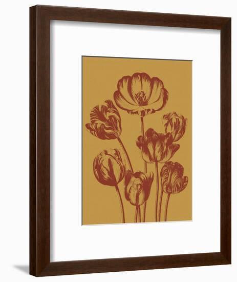 Tulip 15-Botanical Series-Framed Art Print