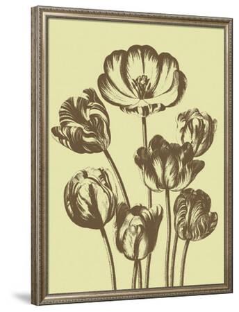 Tulip 3 Stretched Canvas Print by Botanical Series | Art.com
