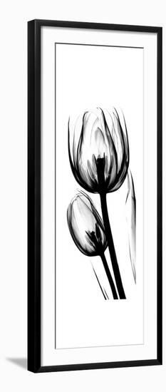 Tulip A52-Albert Koetsier-Framed Premium Giclee Print