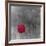 Tulip Accent I-Katja Marzahn-Framed Giclee Print