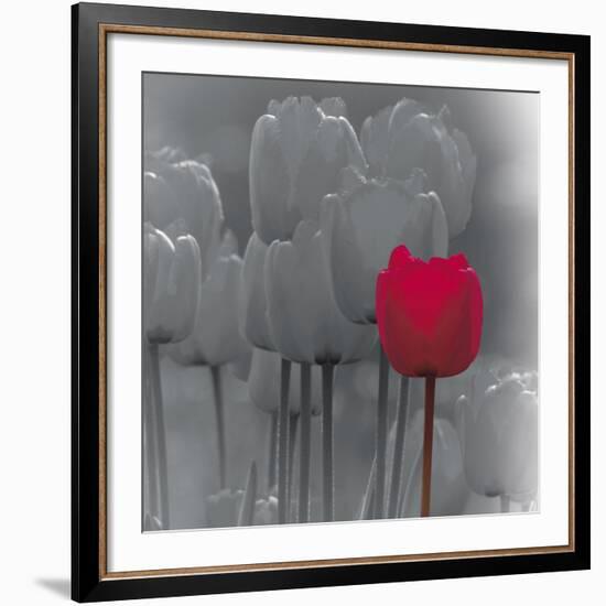 Tulip Accent II-Katja Marzahn-Framed Giclee Print