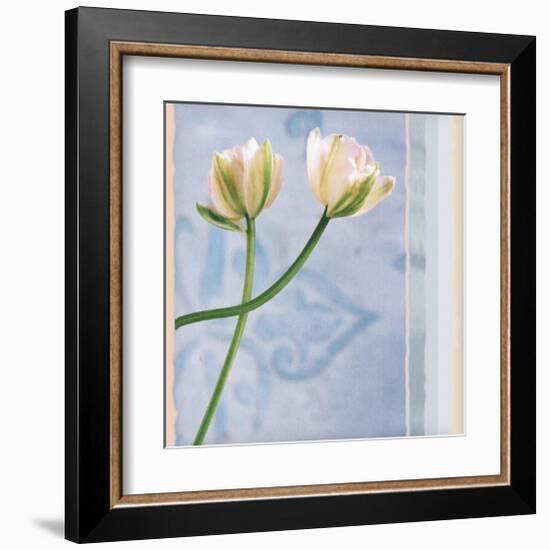 Tulip and Blue Tapestry II-Richard Sutton-Framed Art Print