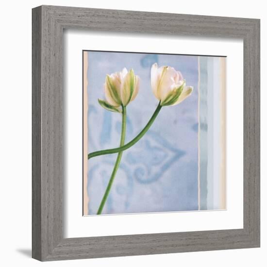 Tulip and Blue Tapestry II-Richard Sutton-Framed Art Print