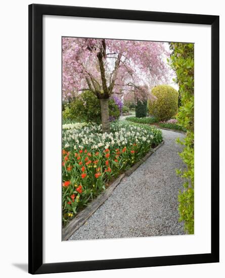 Tulip and Daffodil Garden at Tulip Festival, Skagit Valley, Washington-Jamie & Judy Wild-Framed Photographic Print