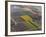 Tulip and hyacinth flower fields, Amsterdam, Netherlands-Adam Jones-Framed Photographic Print