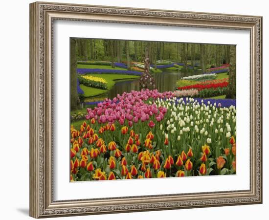 Tulip and Hyacinth Garden, Keukenhof Gardens, Lisse, Netherlands, Holland-Adam Jones-Framed Photographic Print