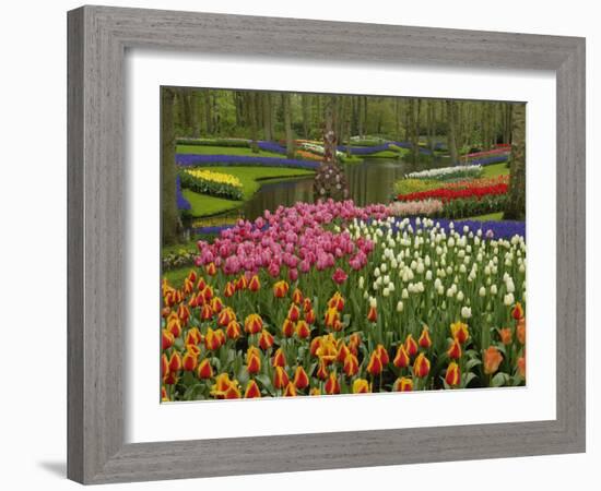 Tulip and Hyacinth Garden, Keukenhof Gardens, Lisse, Netherlands, Holland-Adam Jones-Framed Photographic Print