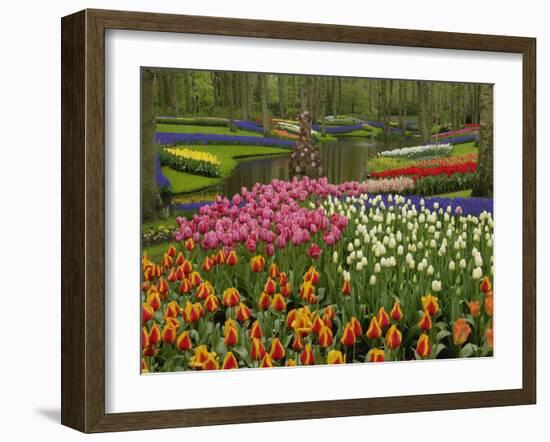 Tulip and Hyacinth Garden, Keukenhof Gardens, Lisse, Netherlands, Holland-Adam Jones-Framed Photographic Print