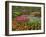 Tulip and Hyacinth Garden, Keukenhof Gardens, Lisse, Netherlands, Holland-Adam Jones-Framed Photographic Print