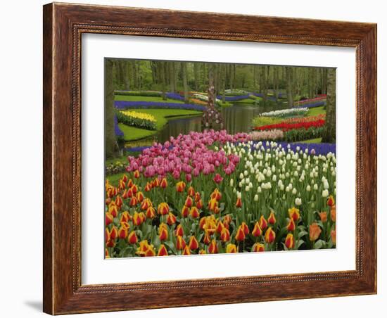 Tulip and Hyacinth Garden, Keukenhof Gardens, Lisse, Netherlands, Holland-Adam Jones-Framed Photographic Print