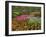 Tulip and Hyacinth Garden, Keukenhof Gardens, Lisse, Netherlands, Holland-Adam Jones-Framed Photographic Print