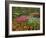 Tulip and Hyacinth Garden, Keukenhof Gardens, Lisse, Netherlands, Holland-Adam Jones-Framed Photographic Print