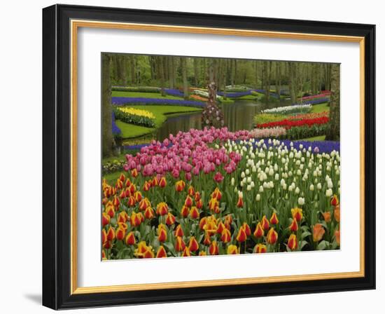 Tulip and Hyacinth Garden, Keukenhof Gardens, Lisse, Netherlands, Holland-Adam Jones-Framed Photographic Print