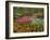 Tulip and Hyacinth Garden, Keukenhof Gardens, Lisse, Netherlands, Holland-Adam Jones-Framed Photographic Print