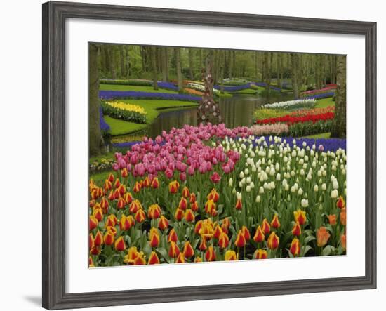 Tulip and Hyacinth Garden, Keukenhof Gardens, Lisse, Netherlands, Holland-Adam Jones-Framed Photographic Print