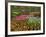 Tulip and Hyacinth Garden, Keukenhof Gardens, Lisse, Netherlands, Holland-Adam Jones-Framed Photographic Print