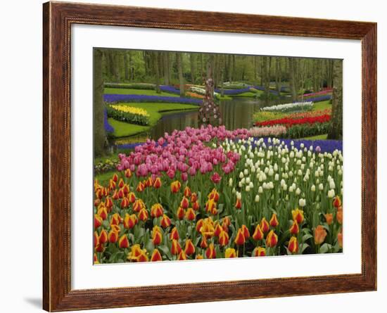 Tulip and Hyacinth Garden, Keukenhof Gardens, Lisse, Netherlands, Holland-Adam Jones-Framed Photographic Print