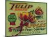 Tulip Apple Crate Label - Yakima, WA-Lantern Press-Mounted Art Print