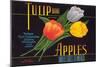Tulip Apple Label-null-Mounted Art Print