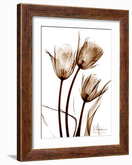 Tulip Arrangement in Brown-Albert Koetsier-Framed Art Print