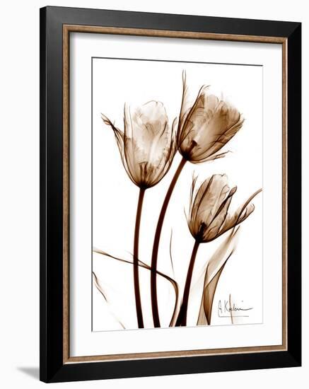 Tulip Arrangement in Brown-Albert Koetsier-Framed Art Print