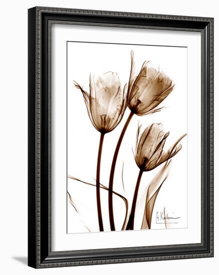 Tulip Arrangement in Brown-Albert Koetsier-Framed Art Print