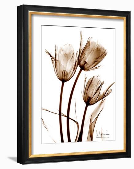 Tulip Arrangement in Brown-Albert Koetsier-Framed Art Print