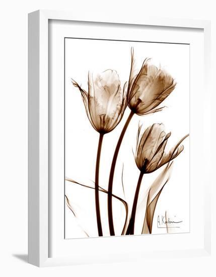 Tulip Arrangement in Brown-Albert Koetsier-Framed Art Print