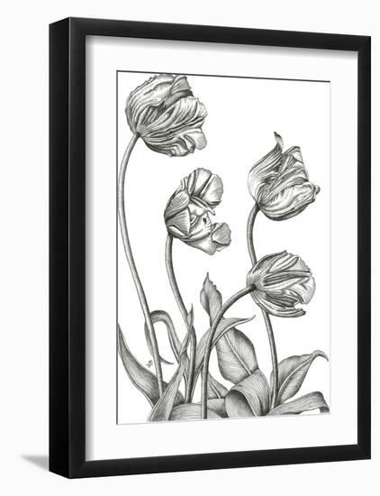 Tulip Array-Lucy Francis-Framed Giclee Print