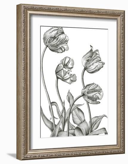 Tulip Array-Lucy Francis-Framed Giclee Print