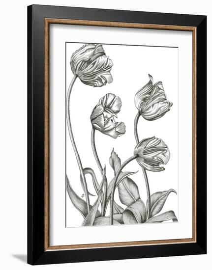 Tulip Array-Lucy Francis-Framed Giclee Print