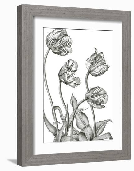 Tulip Array-Lucy Francis-Framed Giclee Print