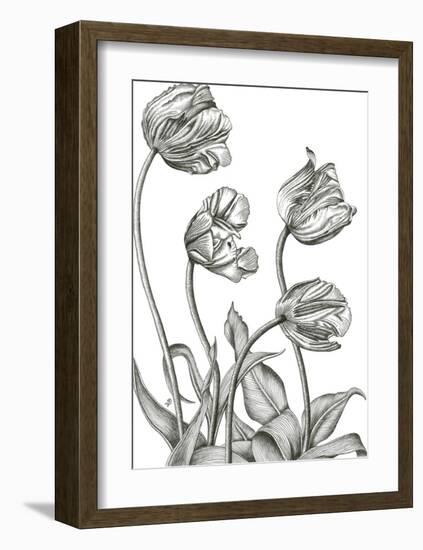 Tulip Array-Lucy Francis-Framed Giclee Print