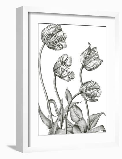 Tulip Array-Lucy Francis-Framed Giclee Print