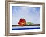 Tulip at Sea-Lily Van Bienen-Framed Giclee Print