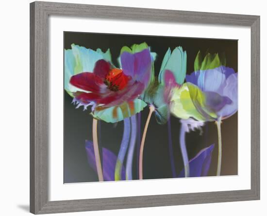 Tulip Blaze-Katja Marzahn-Framed Giclee Print