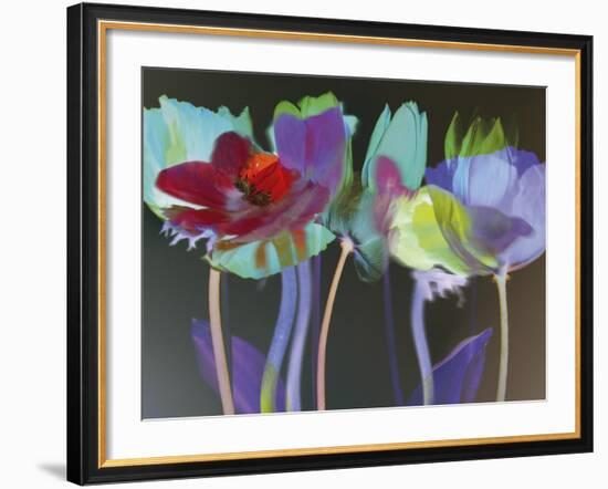 Tulip Blaze-Katja Marzahn-Framed Giclee Print