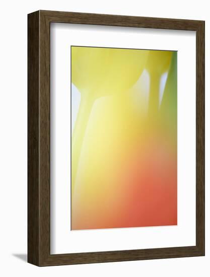 Tulip, Blossom, Close-Up-Andreas Keil-Framed Photographic Print