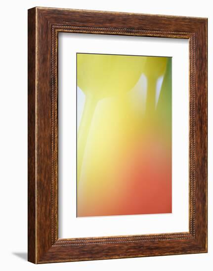 Tulip, Blossom, Close-Up-Andreas Keil-Framed Photographic Print