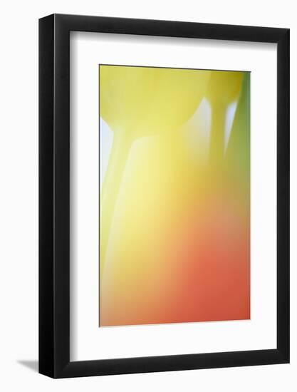 Tulip, Blossom, Close-Up-Andreas Keil-Framed Photographic Print