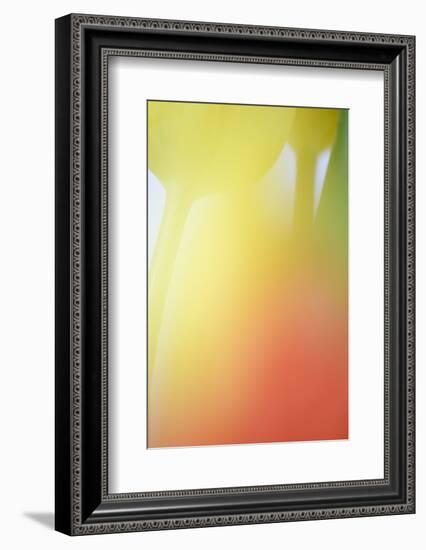 Tulip, Blossom, Close-Up-Andreas Keil-Framed Photographic Print