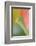 Tulip, Blossom, Close-Up-Andreas Keil-Framed Photographic Print