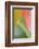 Tulip, Blossom, Close-Up-Andreas Keil-Framed Photographic Print