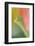 Tulip, Blossom, Close-Up-Andreas Keil-Framed Photographic Print