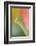 Tulip, Blossom, Close-Up-Andreas Keil-Framed Photographic Print