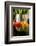 Tulip blossoms on black table-Christine Meder stage-art.de-Framed Photographic Print