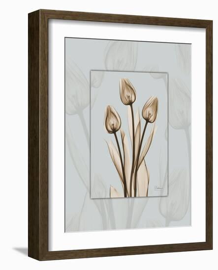 Tulip Blu Brown 2-Albert Koetsier-Framed Art Print